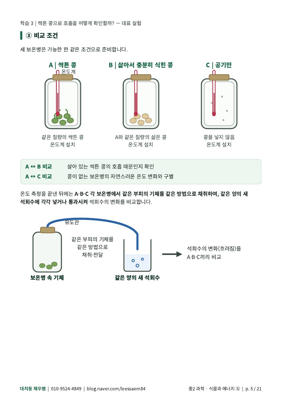 싹튼 콩 실험 — 목적·준비물·순서·결과
