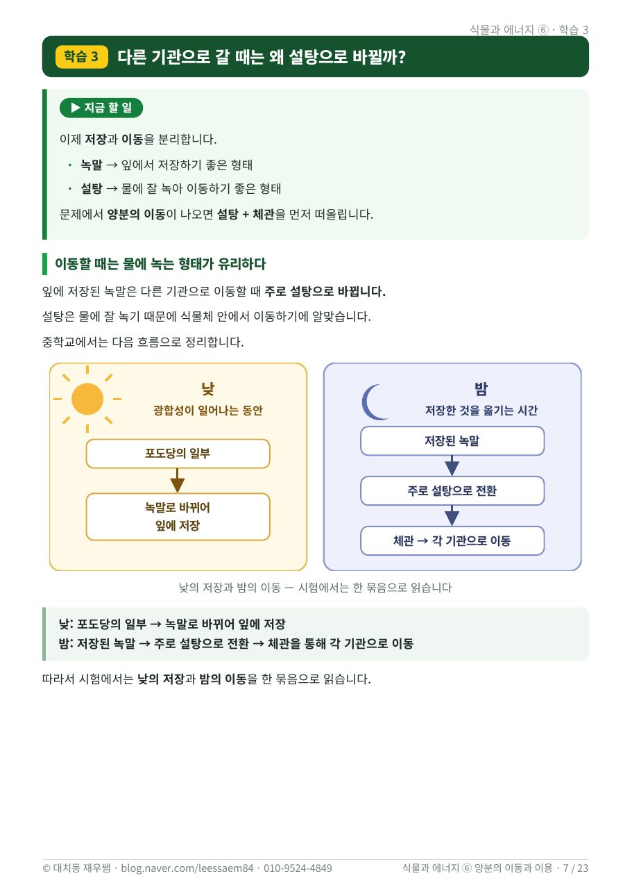 낮과 밤 — 양분의 생성·전환·이동